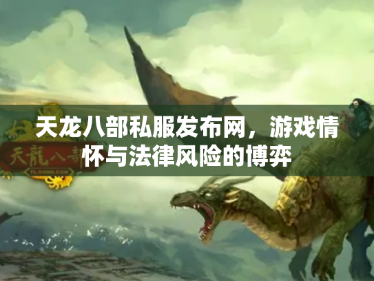 天龙八部私服发布网，游戏情怀与法律风险的博弈