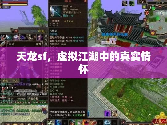 天龙sf，虚拟江湖中的真实情怀