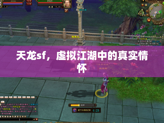 天龙sf，虚拟江湖中的真实情怀