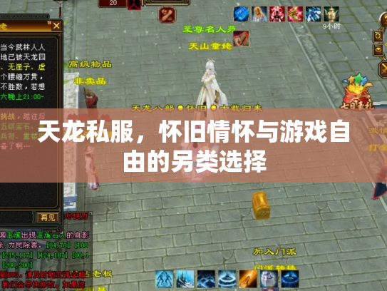 天龙私服，怀旧情怀与游戏自由的另类选择