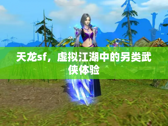 天龙sf，虚拟江湖中的另类武侠体验