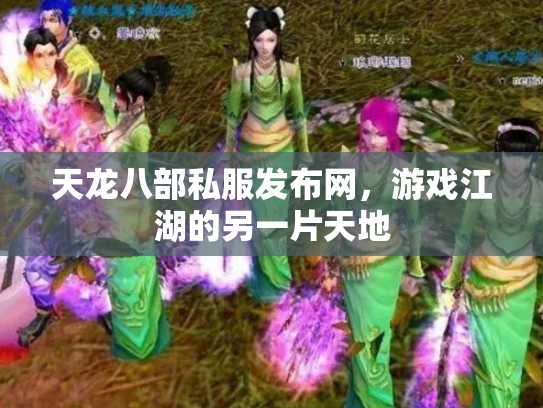 天龙八部私服发布网，游戏江湖的另一片天地