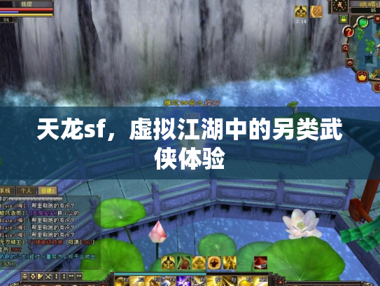 天龙sf，虚拟江湖中的另类武侠体验