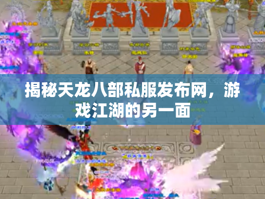 揭秘天龙八部私服发布网，游戏江湖的另一面