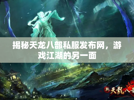 揭秘天龙八部私服发布网，游戏江湖的另一面