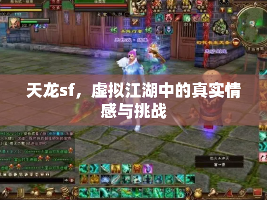 天龙sf，虚拟江湖中的真实情感与挑战