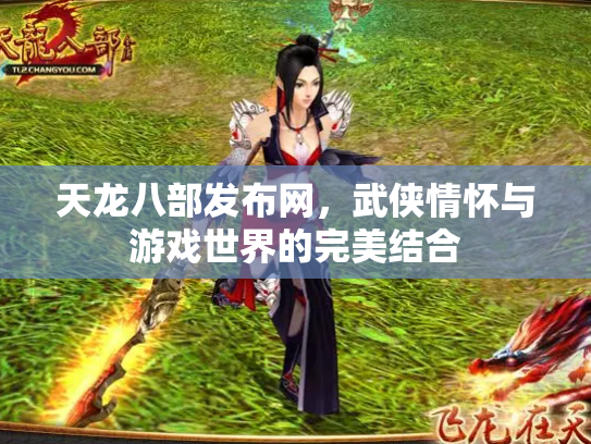 天龙八部发布网，武侠情怀与游戏世界的完美结合