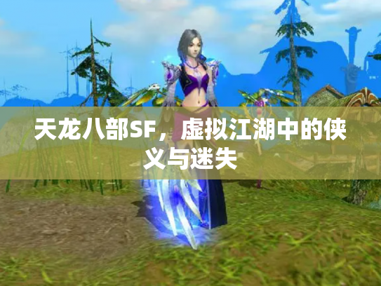 天龙八部SF，虚拟江湖中的侠义与迷失