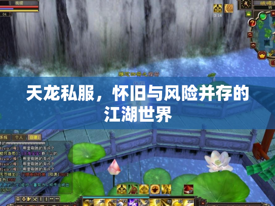 天龙私服，怀旧与风险并存的江湖世界