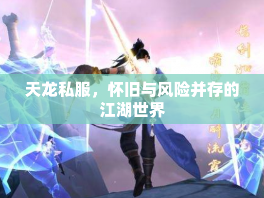 天龙私服，怀旧与风险并存的江湖世界