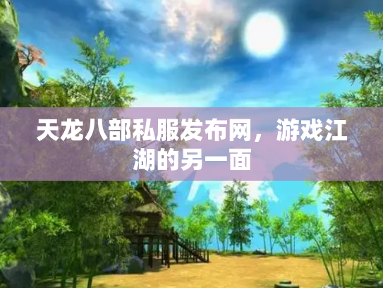 天龙八部私服发布网，游戏江湖的另一面