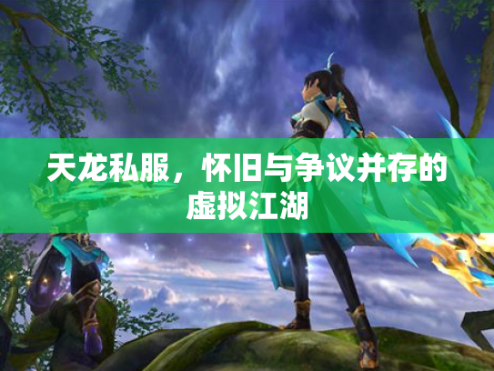 天龙私服，怀旧与争议并存的虚拟江湖
