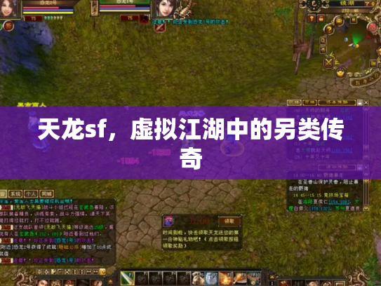 天龙sf，虚拟江湖中的另类传奇