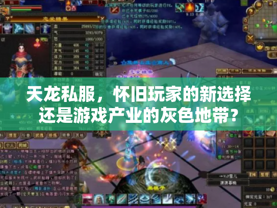 天龙私服，怀旧玩家的新选择还是游戏产业的灰色地带？