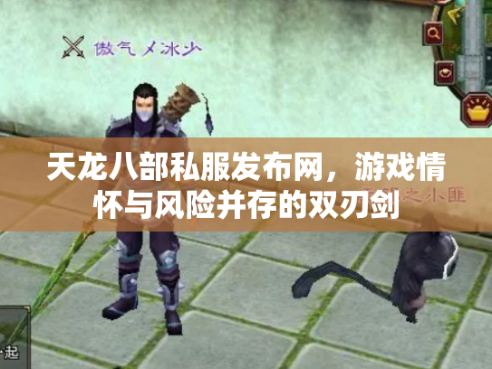 天龙八部私服发布网，游戏情怀与风险并存的双刃剑