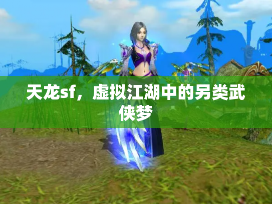 天龙sf，虚拟江湖中的另类武侠梦