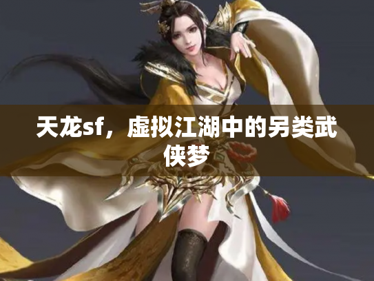 天龙sf，虚拟江湖中的另类武侠梦