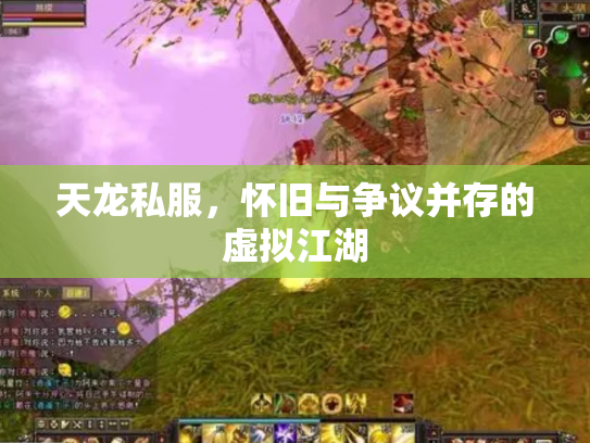 天龙私服，怀旧与争议并存的虚拟江湖