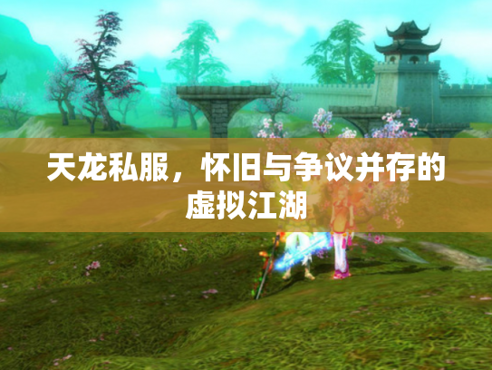 天龙私服，怀旧与争议并存的虚拟江湖