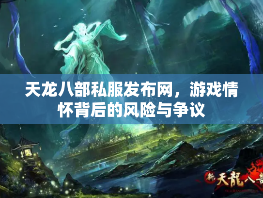 天龙八部私服发布网，游戏情怀背后的风险与争议