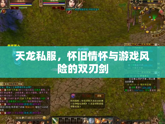 天龙私服，怀旧情怀与游戏风险的双刃剑