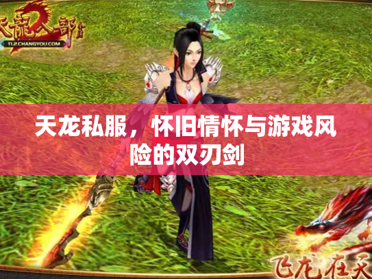 天龙私服，怀旧情怀与游戏风险的双刃剑