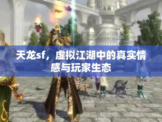 天龙sf，虚拟江湖中的真实情感与玩家生态