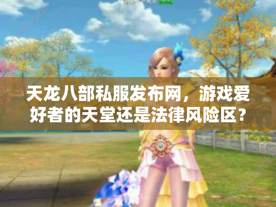 天龙八部私服发布网，游戏爱好者的天堂还是法律风险区？