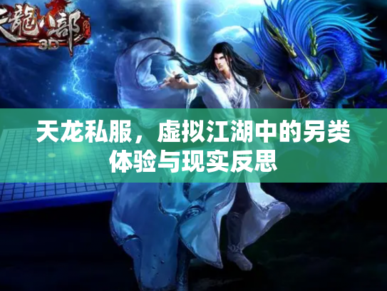 天龙私服，虚拟江湖中的另类体验与现实反思
