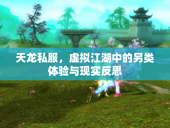 天龙私服，虚拟江湖中的另类体验与现实反思