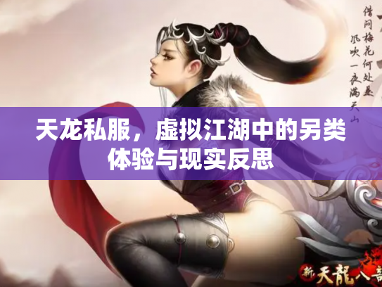 天龙私服，虚拟江湖中的另类体验与现实反思