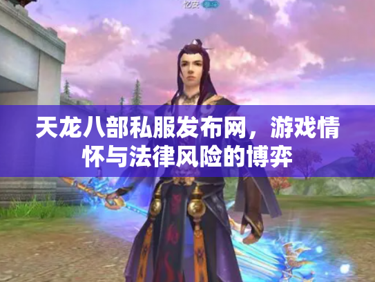 天龙八部私服发布网，游戏情怀与法律风险的博弈