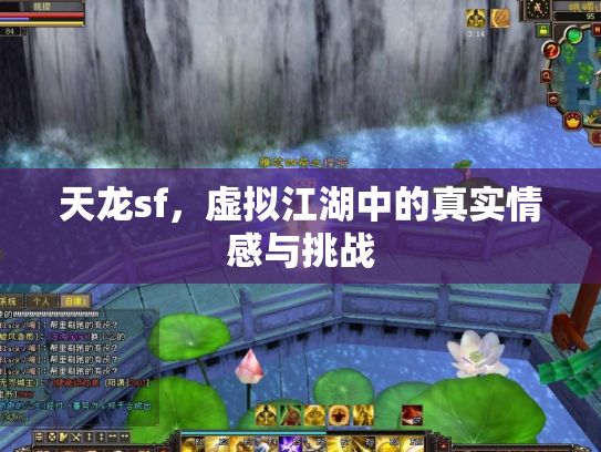 天龙sf，虚拟江湖中的真实情感与挑战