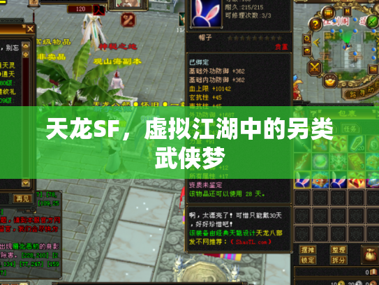 天龙SF，虚拟江湖中的另类武侠梦