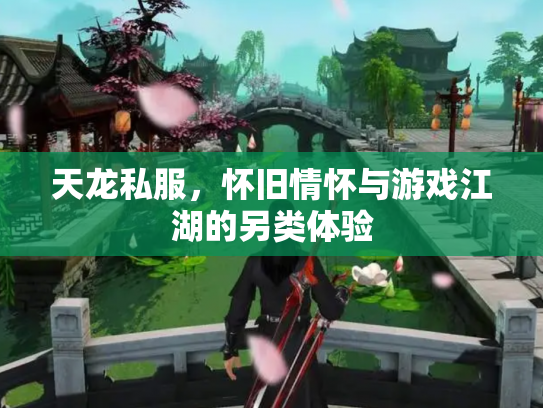天龙私服，怀旧情怀与游戏江湖的另类体验