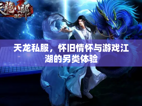 天龙私服，怀旧情怀与游戏江湖的另类体验