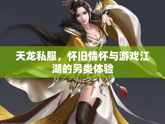 天龙私服，怀旧情怀与游戏江湖的另类体验