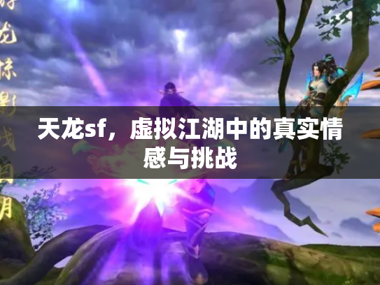 天龙sf，虚拟江湖中的真实情感与挑战