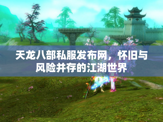 天龙八部私服发布网，怀旧与风险并存的江湖世界