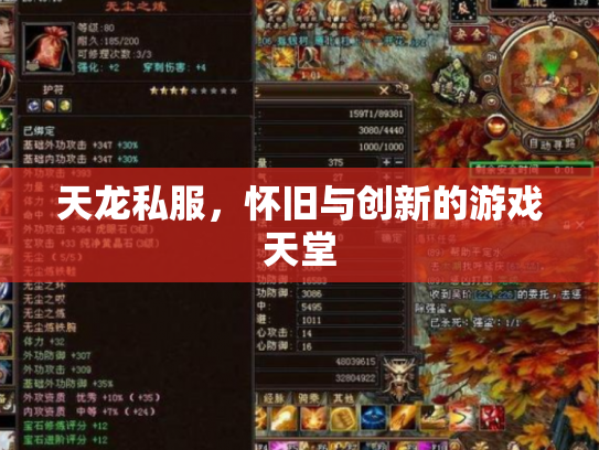 天龙私服，怀旧与创新的游戏天堂