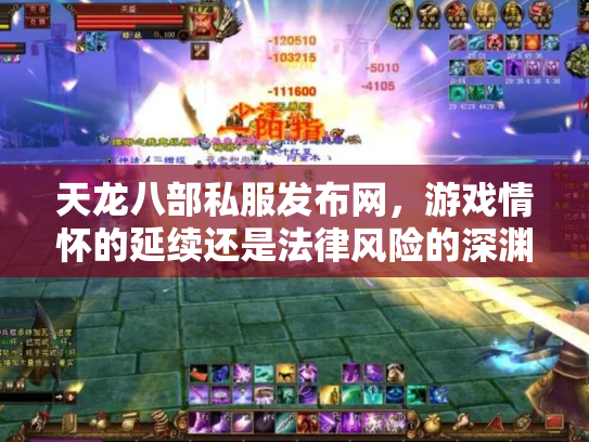 天龙八部私服发布网，游戏情怀的延续还是法律风险的深渊？