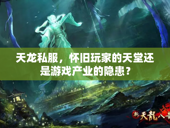 天龙私服，怀旧玩家的天堂还是游戏产业的隐患？