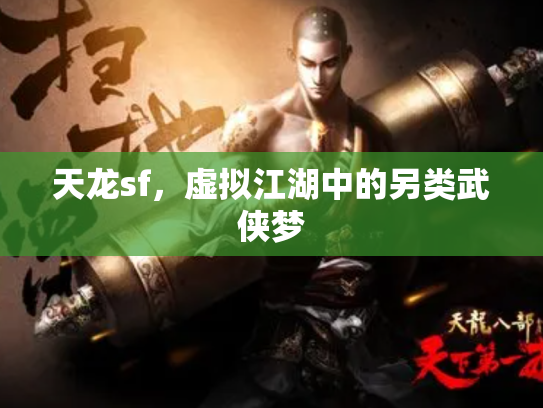 天龙sf，虚拟江湖中的另类武侠梦