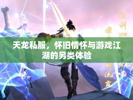 天龙私服，怀旧情怀与游戏江湖的另类体验