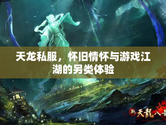 天龙私服，怀旧情怀与游戏江湖的另类体验