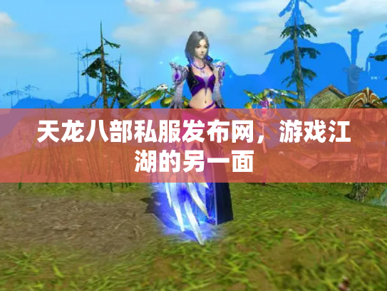 天龙八部私服发布网，游戏江湖的另一面