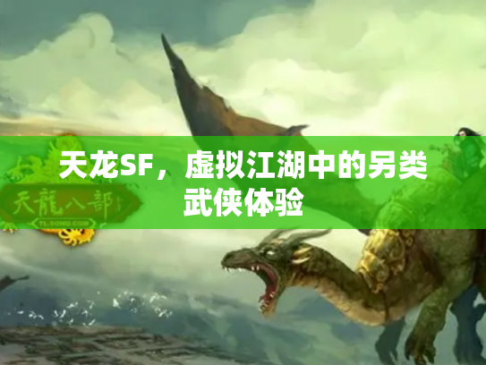 天龙SF，虚拟江湖中的另类武侠体验