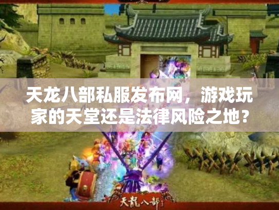 天龙八部私服发布网，游戏玩家的天堂还是法律风险之地？