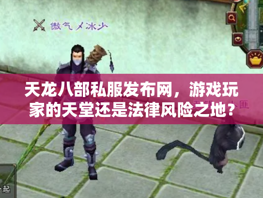 天龙八部私服发布网，游戏玩家的天堂还是法律风险之地？