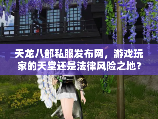 天龙八部私服发布网，游戏玩家的天堂还是法律风险之地？